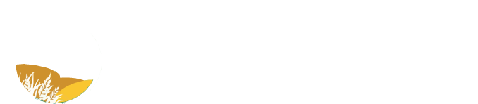 Afri Genius